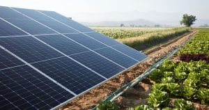 découvrez comment maximiser la rentabilité de votre hangar agricole grâce à l'installation de panneaux photovoltaïques. optimisez vos coûts énergétiques et valorisez vos espaces tout en contribuant à la transition énergétique.