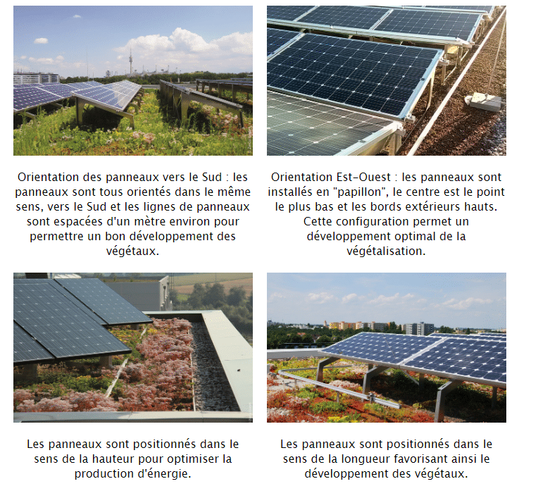 découvrez la rentabilité des panneaux solaires : analysez les économies d'énergie, les incitations fiscales et le retour sur investissement pour maximiser vos gains tout en protégeant l'environnement.