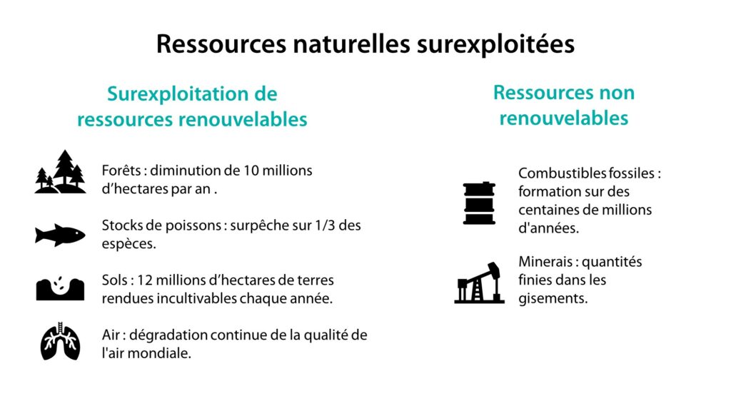 découvrez l'importance des ressources renouvelables pour un avenir durable. informez-vous sur les différentes sources d'énergie renouvelable, leurs avantages et comment elles contribuent à la protection de notre planète.