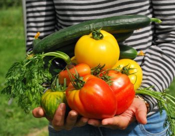 découvrez l'importance de la rotation des cultures pour maintenir la santé des sols, améliorer les rendements agricoles et promouvoir la biodiversité. apprenez les meilleures pratiques pour diversifier vos cultures et optimiser vos récoltes.