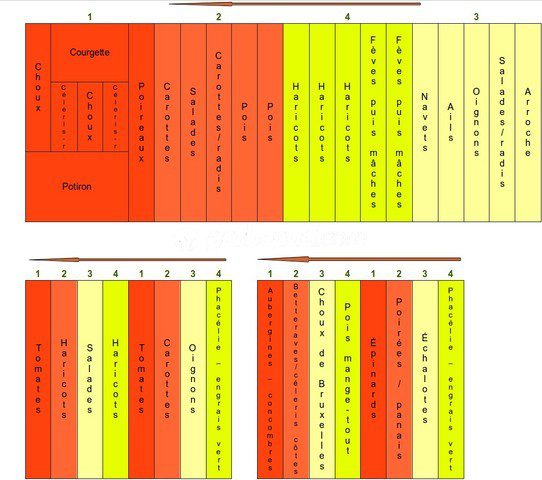 découvrez l'importance de la rotation des cultures pour améliorer la fertilité des sols, prévenir les maladies des plantes et optimiser le rendement des récoltes. apprenez les meilleures pratiques pour diversifier vos cultures et favoriser un écosystème durable.
