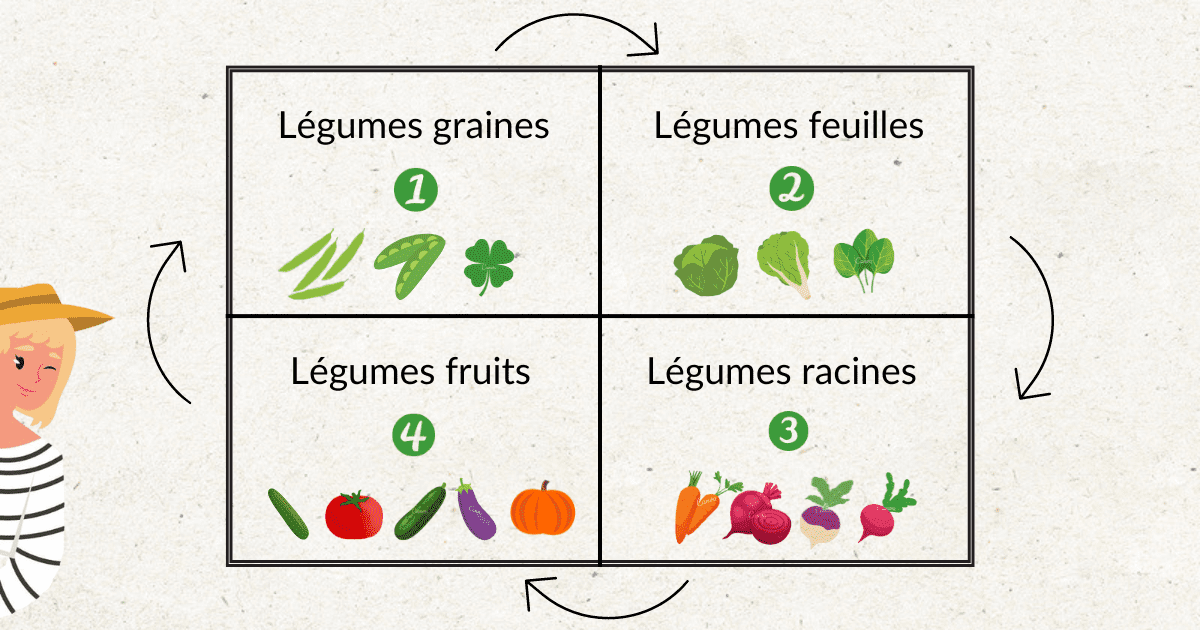 découvrez l'importance de la rotation des cultures pour maintenir la fertilité des sols, prévenir les maladies des plantes et optimiser les rendements agricoles. apprenez les meilleures pratiques et les avantages de cette technique durable.