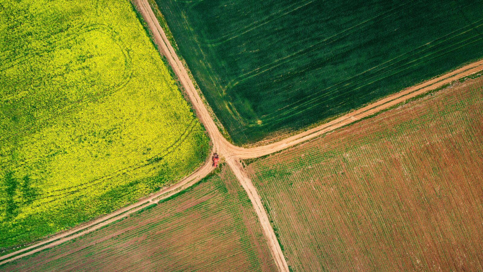 découvrez les secrets de protection des cultures pour maximiser vos récoltes et préserver la santé de vos plantes. apprenez des techniques innovantes et naturelles pour lutter contre les nuisibles et les maladies tout en respectant l'environnement.