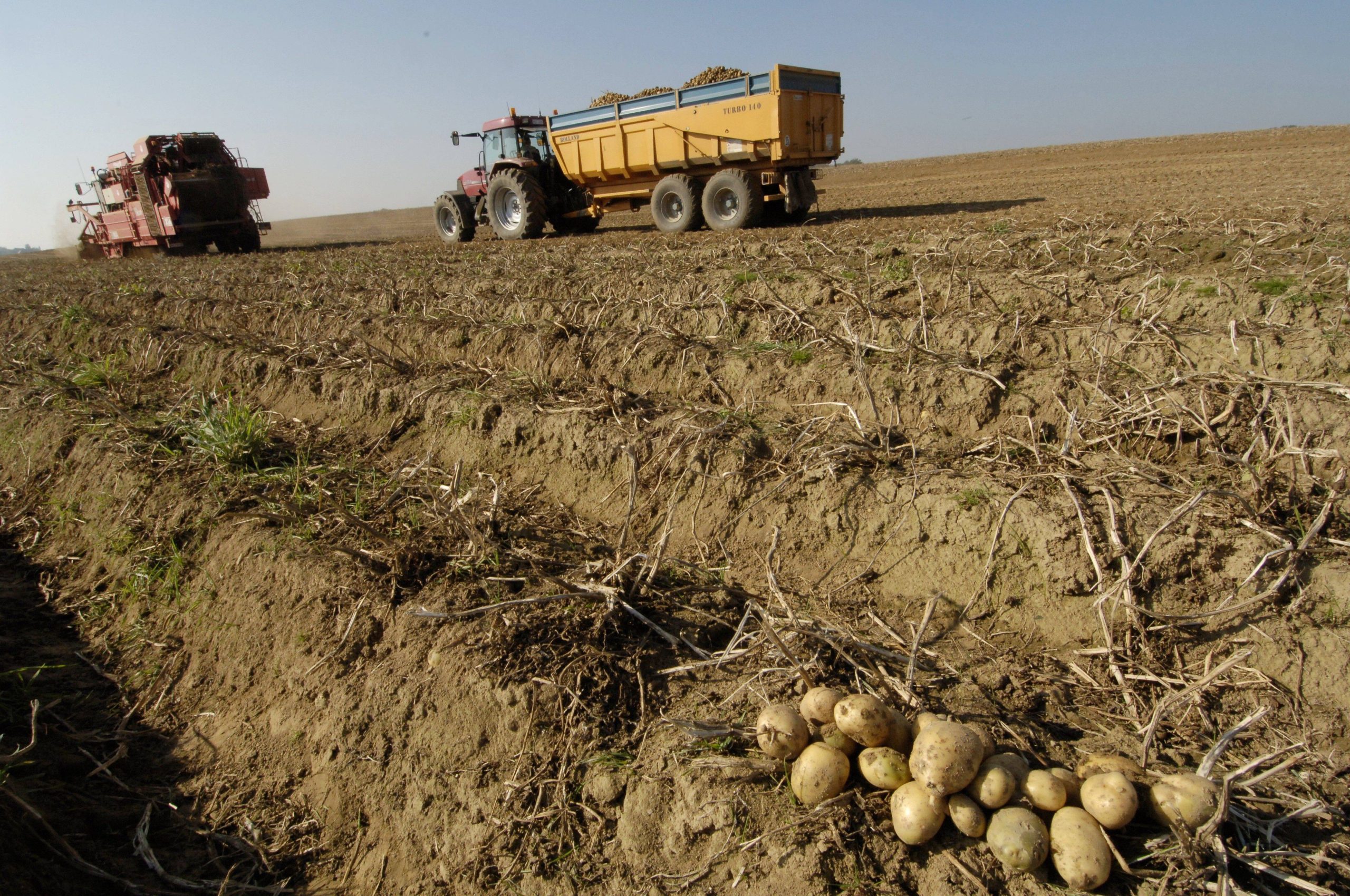 découvrez les secrets de la décarbonisation agricole : des pratiques durables et innovantes pour réduire l'empreinte carbone tout en préservant la productivité des exploitations. explorez les solutions écologiques qui transformeront l'agriculture de demain.