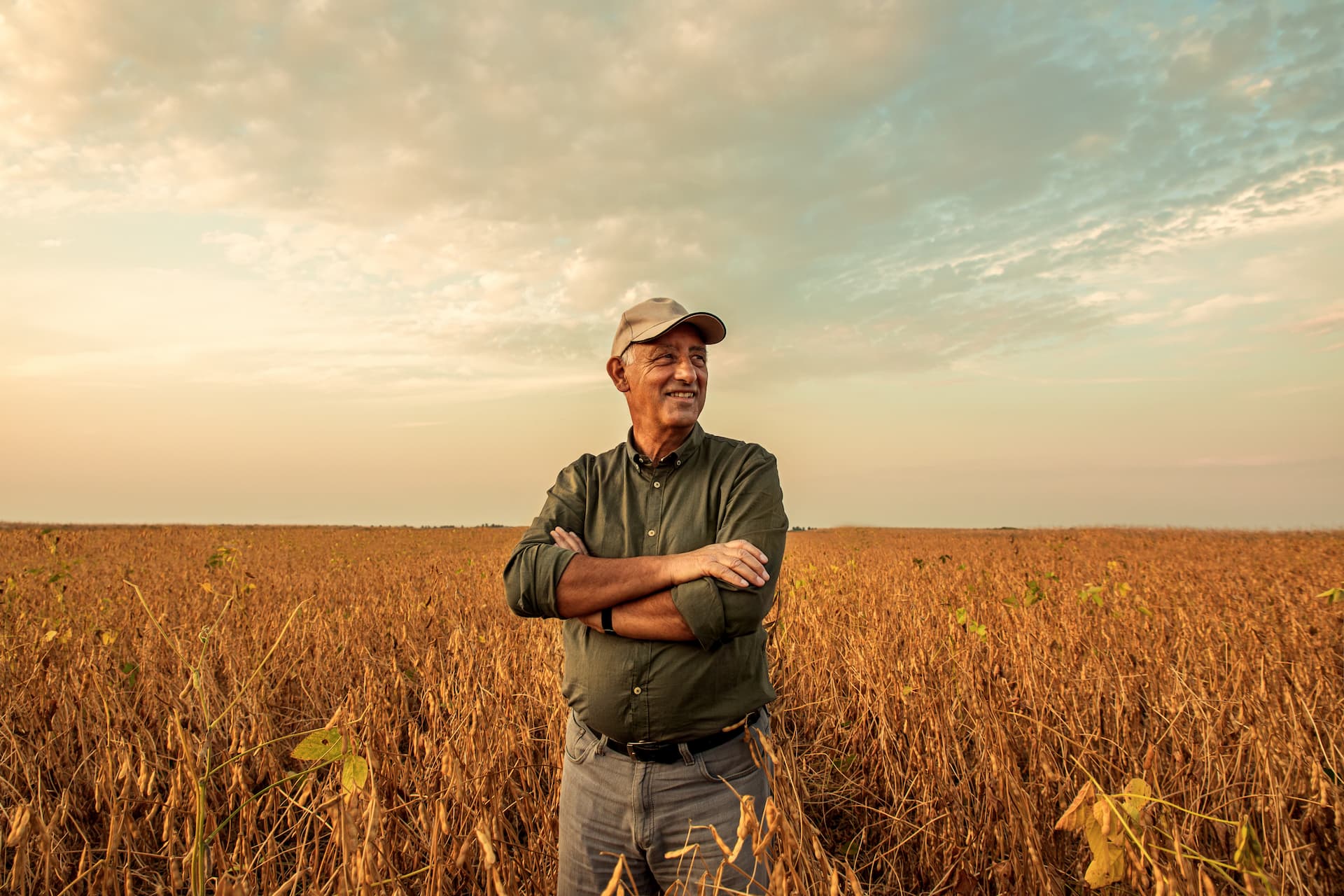 découvrez les secrets des exploitations agricoles : des techniques innovantes aux pratiques durables, explorez comment les agriculteurs optimisent leur production tout en respectant l'environnement.