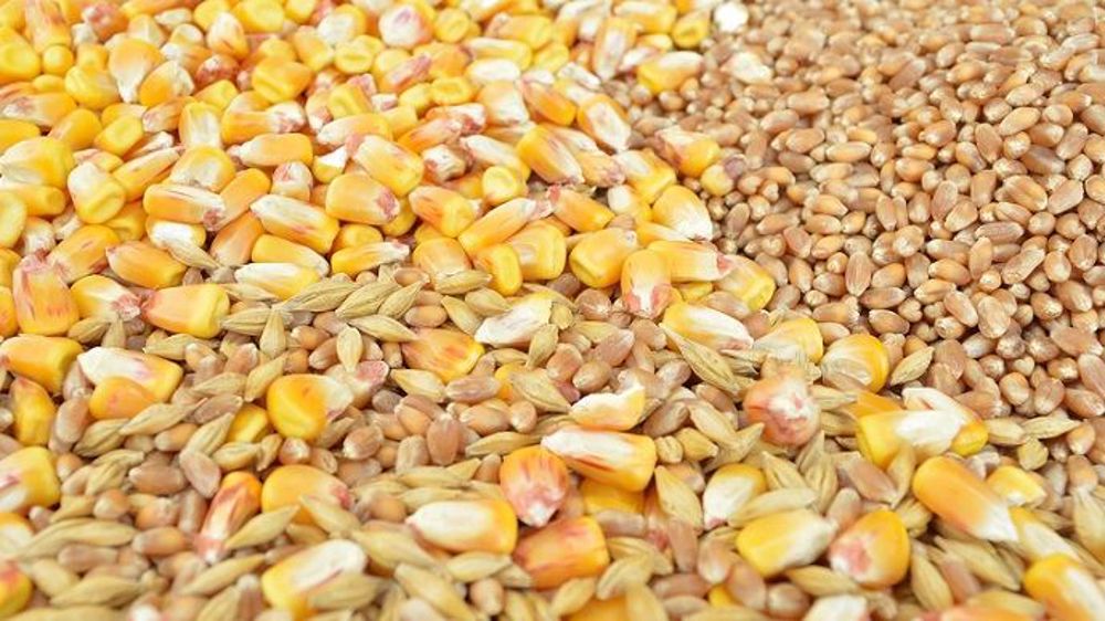 découvrez notre sélection de semences biologiques, cultivées sans pesticides ni produits chimiques, pour un jardinage sain et responsable. idéales pour les amateurs de potager et de jardin fleuri, nos semences garantissent des récoltes savoureuses et durables.