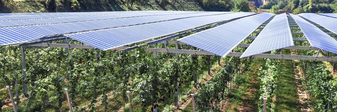 découvrez comment sensibiliser les agriculteurs aux avantages de l'énergie solaire pour optimiser leur production et réduire leur empreinte écologique. adoptez des solutions durables et rentables grâce à l'énergie renouvelable.