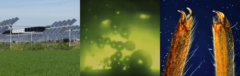 découvrez comment sensibiliser les agriculteurs aux avantages de l'énergie solaire. apprenez les bénéfices économiques et environnementaux de cette source d'énergie renouvelable pour une agriculture durable et innovante.