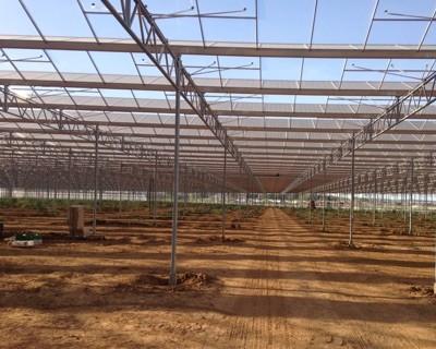 découvrez les avantages des serres solaires agricoles : une solution écologique et économique pour maximiser vos récoltes tout en préservant l'environnement. optimisez votre production avec une énergie renouvelable et un contrôle optimal du climat.