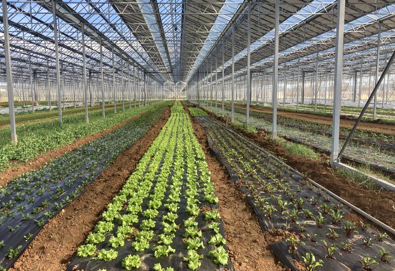 découvrez nos services solaires dédiés à l'agriculture, conçus pour optimiser vos rendements tout en réduisant vos coûts énergétiques. passez à l'énergie renouvelable pour un avenir durable et une production agricole écoresponsable.
