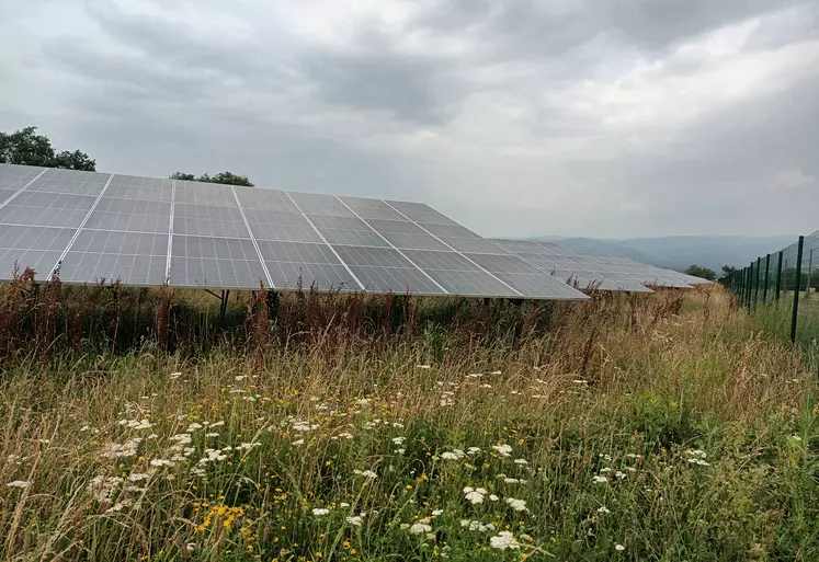 découvrez nos services solaires dédiés à l'agriculture, conçus pour maximiser votre production tout en réduisant vos coûts énergétiques. optez pour une énergie renouvelable et durable qui soutient votre exploitation agricole.