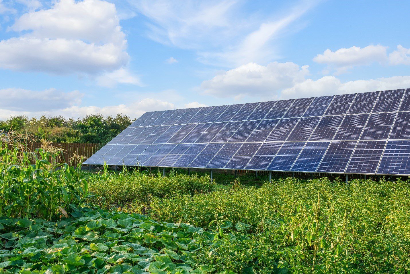 découvrez les avantages de l'énergie solaire pour l'agriculture : des solutions durables pour réduire les coûts, améliorer la productivité et préserver l'environnement. adoptez le solaire pour transformer votre exploitation agricole.