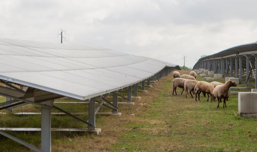 découvrez comment l'énergie solaire transforme l'agriculture moderne. explorez les synergies entre la production d'énergie renouvelable et les pratiques agricoles durables pour un avenir plus vert et productif.