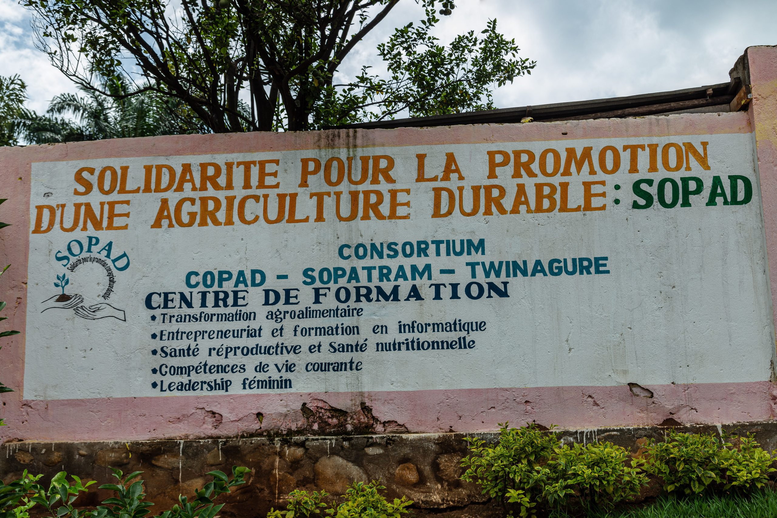 découvrez comment la solidarité agricole durable favorise un développement harmonieux entre les agriculteurs, la préservation de l'environnement et le bien-être des communautés rurales, tout en garantissant une production alimentaire responsable et équitable.