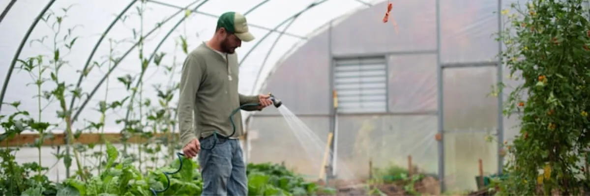 découvrez des solutions innovantes pour l'agriculture durable avec ecofermier. optimisez vos pratiques agricoles tout en préservant l'environnement et en garantissant la qualité de vos cultures. rejoignez le mouvement vers une agriculture plus verte et responsable.
