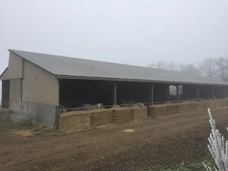 découvrez la stabulation photovoltaïque, une solution innovante alliant agriculture et énergie renouvelable. optimisez l'espace sur votre exploitation tout en produisant de l'électricité grâce à des panneaux solaires installés sur les structures d'élevage. idéale pour favoriser la durabilité et l'efficacité énergétique !