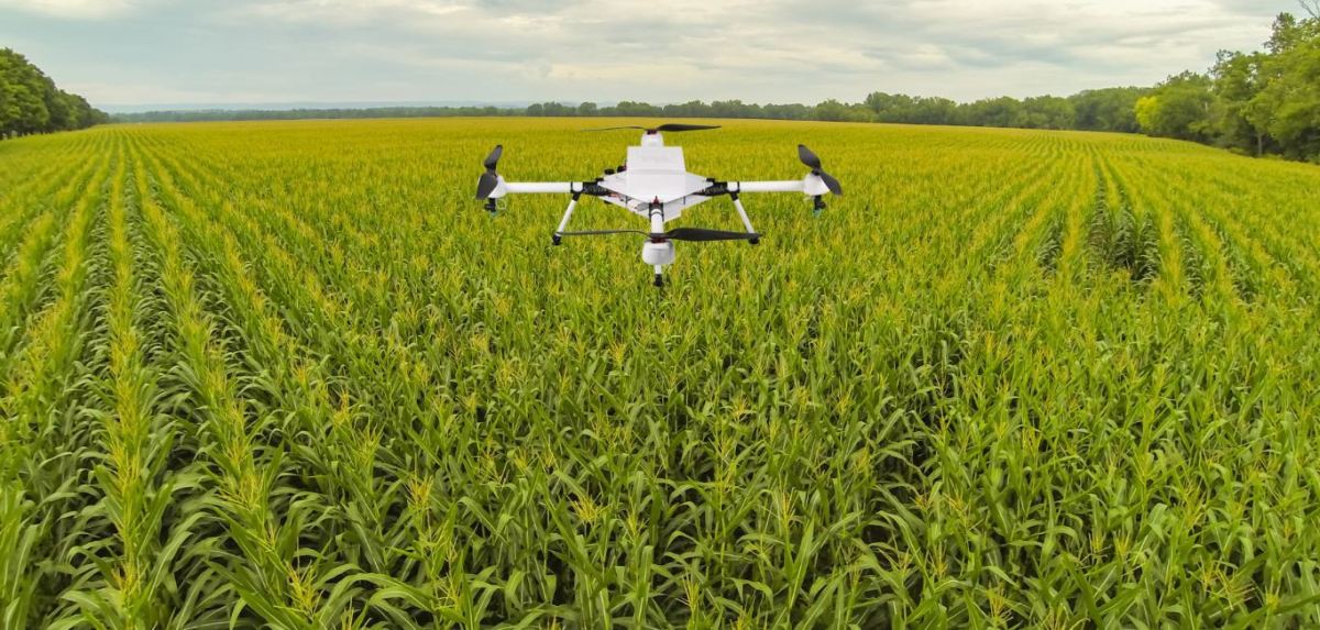 découvrez l'univers des startups agri-tech, où innovation et technologie se rencontrent pour révolutionner l'agriculture. explorez des solutions durables, des équipements intelligents et des pratiques agricoles révolutionnaires qui optimisent la production tout en préservant notre environnement.