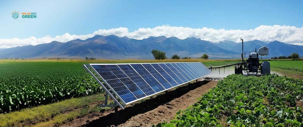 découvrez les subventions disponibles pour les fermes solaires en france. profitez d'aides financières et d'incitations pour développer des projets d'énergie renouvelable et contribuer à la transition énergétique tout en optimisant vos investissements.