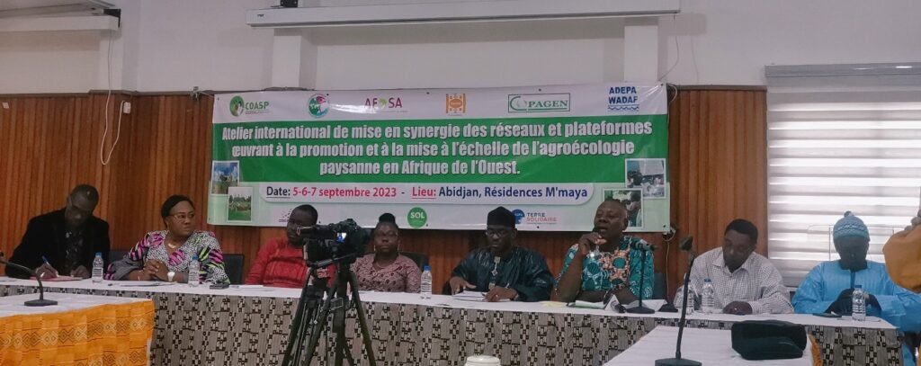 découvrez comment la synergie entre pêche et agriculture peut transformer nos pratiques alimentaires. explorez les avantages environnementaux, économiques et sociaux d'une collaboration harmonieuse entre ces deux secteurs essentiels pour un développement durable.
