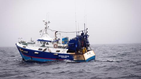 découvrez comment la synergie entre la pêche et l'agriculture peut promouvoir des pratiques durables, renforcer la sécurité alimentaire et protéger les écosystèmes. explorez les avantages de cette collaboration pour les communautés et l'environnement.