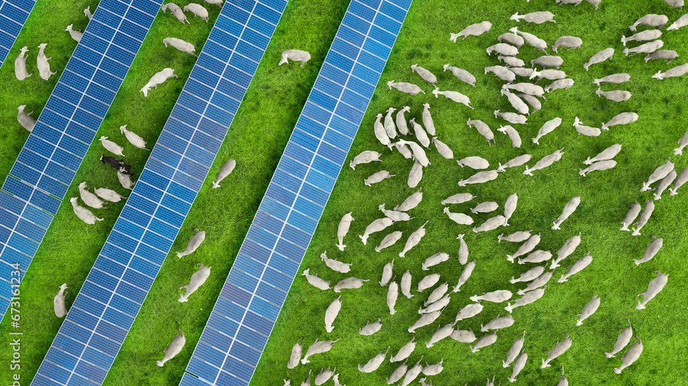 découvrez comment les synergies entre l'agriculture et le photovoltaïque créent des solutions durables pour l'environnement et l'économie. explorez les avantages d'une coopération harmonieuse qui optimise l'utilisation des terres tout en produisant de l'énergie renouvelable.