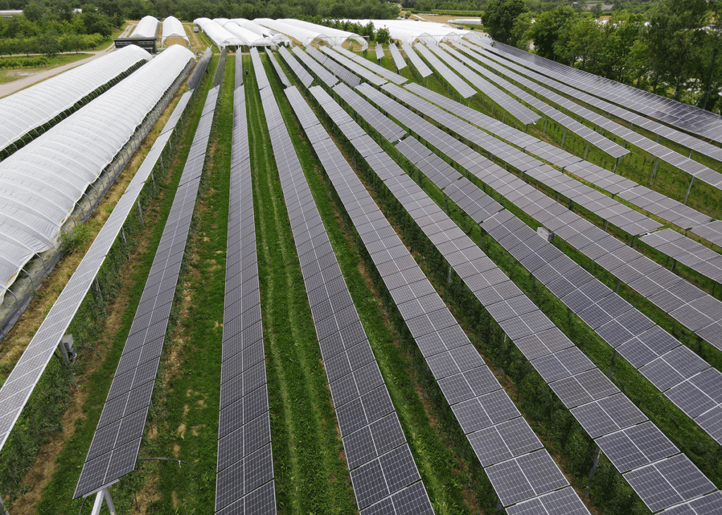 découvrez comment combiner l'agriculture et l'énergie photovoltaïque pour une production durable et efficace. explorez les avantages des synergies entre ces deux domaines, contribuant à un avenir respectueux de l'environnement et à une rentabilité accrue pour les agriculteurs.