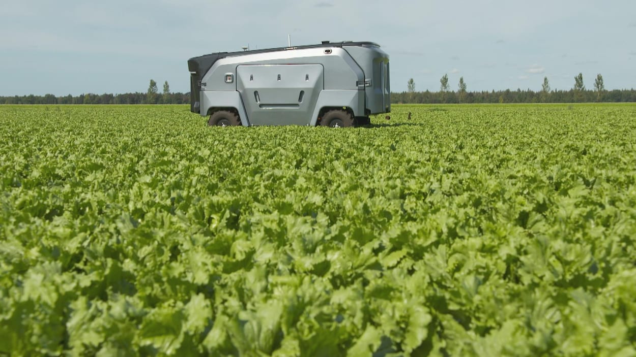 découvrez comment la techno-agriculture durable révolutionne l'agriculture en intégrant des technologies innovantes pour améliorer les rendements tout en préservant l'environnement. explorez des pratiques durables qui allient efficacité et respect des ressources naturelles.