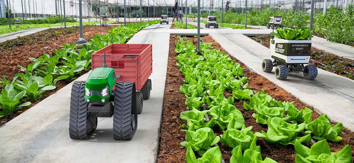 découvrez comment la techno-agriculture durable révolutionne l'agriculture moderne en intégrant des pratiques écoresponsables et des technologies innovantes pour améliorer la production tout en préservant notre environnement.