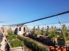 découvrez comment la techno-agriculture durable révolutionne l'agriculture moderne en alliant innovation et respect de l'environnement. apprenez les techniques et technologies qui favorisent une production alimentaire durable tout en préservant les ressources naturelles.