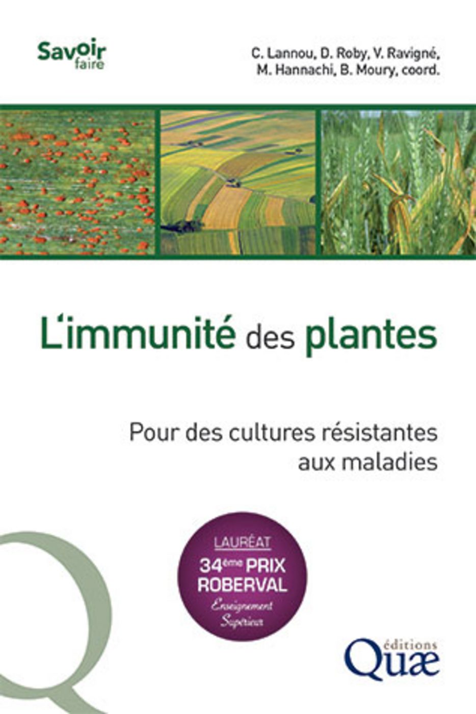 découvrez comment les avancées technologiques révolutionnent la lutte contre les maladies des plantes. explorez les techniques innovantes et les solutions durables pour protéger vos cultures et améliorer la santé des végétaux.
