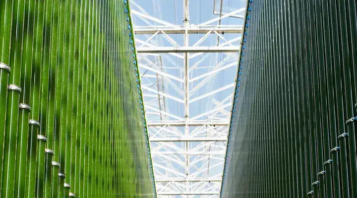 découvrez les technologies vertes dans l'industrie : des solutions innovantes pour réduire l'empreinte carbone, améliorer l'efficacité énergétique et promouvoir un développement durable. explorez les avancées qui transforment le paysage industriel en favorisant un avenir plus respectueux de l'environnement.