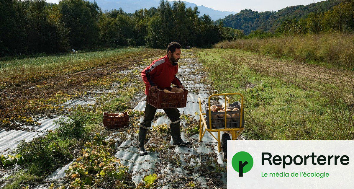 découvrez les témoignages inspirants d'agriculteurs qui utilisent des technologies innovantes pour transformer leurs pratiques agricoles. plongez dans des expériences uniques et apprenez comment ces solutions modernes améliorent la productivité et la durabilité dans le secteur agricole.