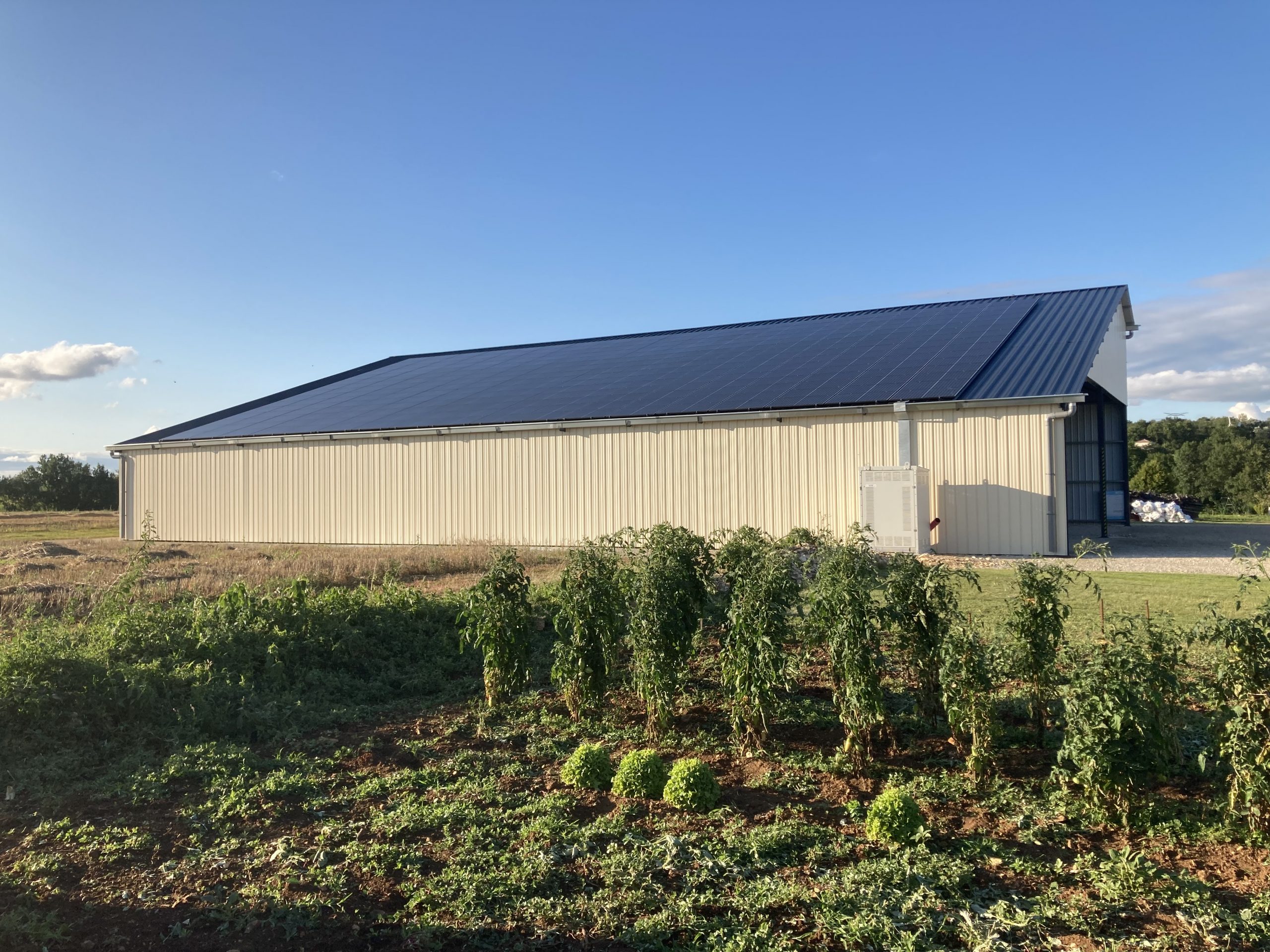 découvrez des témoignages inspirants sur l'impact des hangars agricoles photovoltaïques. apprenez comment ces structures innovantes transforment l'agriculture durable, offrent des économies d'énergie et contribuent à la protection de l'environnement. explorez les expériences vécues de différents agriculteurs qui ont adopté cette solution verte pour moderniser leur exploitation.