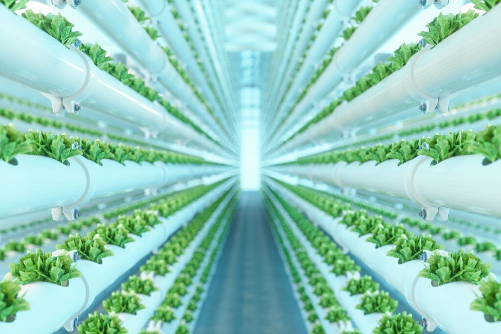 découvrez les dernières tendances agri-tech qui révolutionnent l'agriculture moderne. plongez dans l'innovation technologique, des solutions durables aux outils intelligents, et apprenez comment elles transforment les pratiques agricoles pour un avenir plus productif et respectueux de l'environnement.