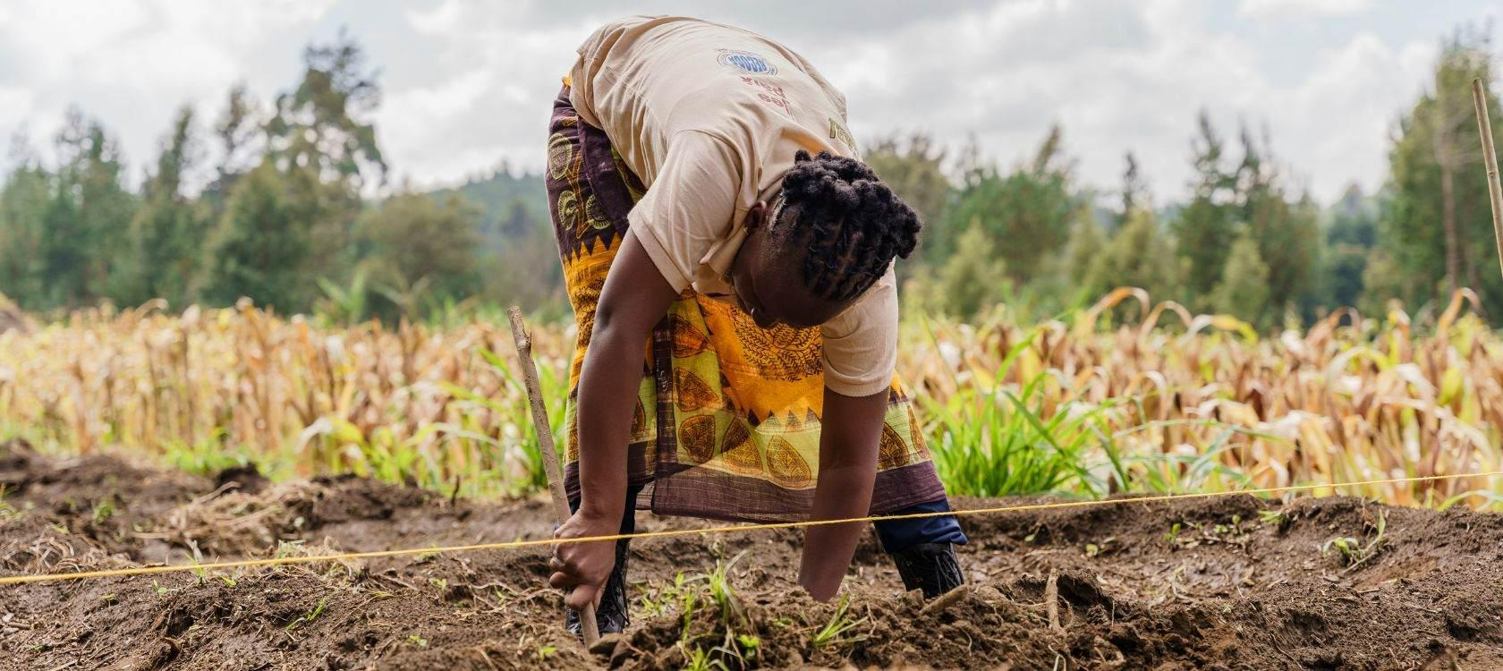 découvrez l'agriculture durable à travers les techniques innovantes et les pratiques respectueuses de l'environnement. apprenez comment ces méthodes contribuent à la préservation des terres, à la biodiversité et à une alimentation saine et durable.