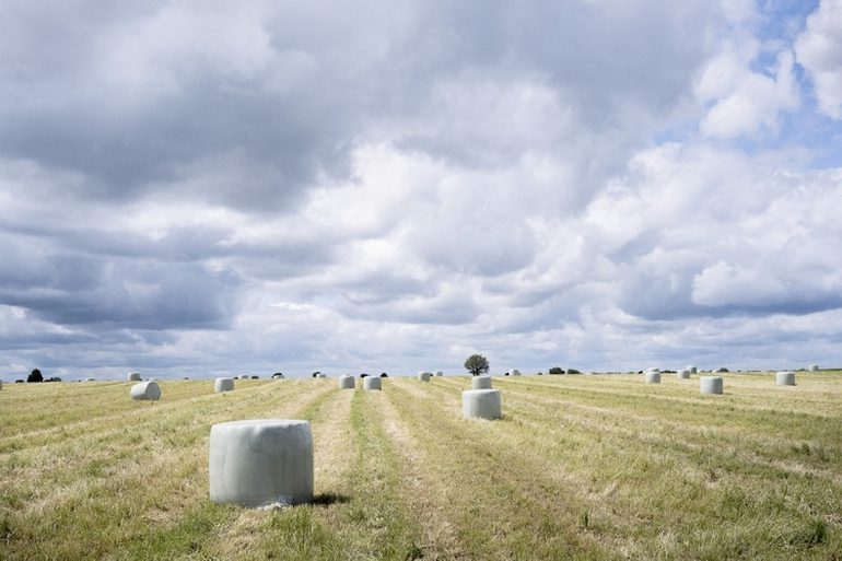 découvrez les pratiques innovantes de l'agriculture durable à travers le monde. apprenez comment les terres agricoles peuvent être gérées de manière éthique pour préserver l'environnement, tout en garantissant une production alimentaire efficace et respectueuse des ressources naturelles.