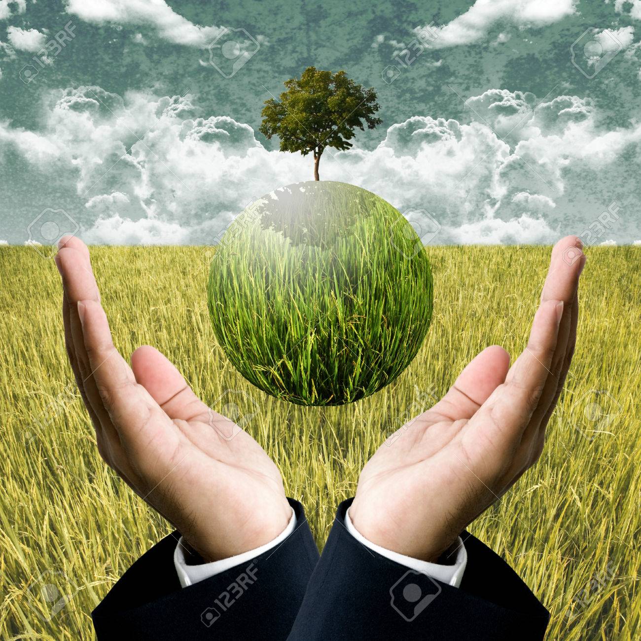 découvrez comment les pratiques d'agriculture durable préservent la qualité des terres tout en répondant aux besoins alimentaires croissants. explorez des solutions innovantes pour une agriculture respectueuse de l'environnement.