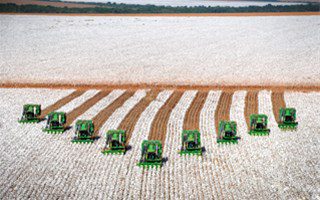 découvrez comment les terres arables jouent un rôle crucial dans l'agriculture écologique. apprenez les techniques durables pour préserver la qualité du sol, favoriser la biodiversité et améliorer les rendements tout en respectant l'environnement.