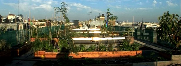découvrez l'importance des toits agricoles pour la durabilité et la productivité des exploitations. apprenez comment ces structures innovantes améliorent la gestion des ressources, favorisent la biodiversité et participent à la lutte contre le changement climatique.
