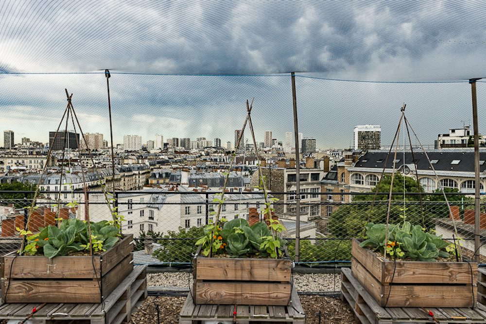 découvrez l'importance des toits agricoles dans la durabilité et l'innovation des exploitations agricoles. explorez les avantages de ces structures, de la gestion de l'eau à l'amélioration de la biodiversité. transformez vos pratiques agricoles avec nos conseils et solutions efficaces.