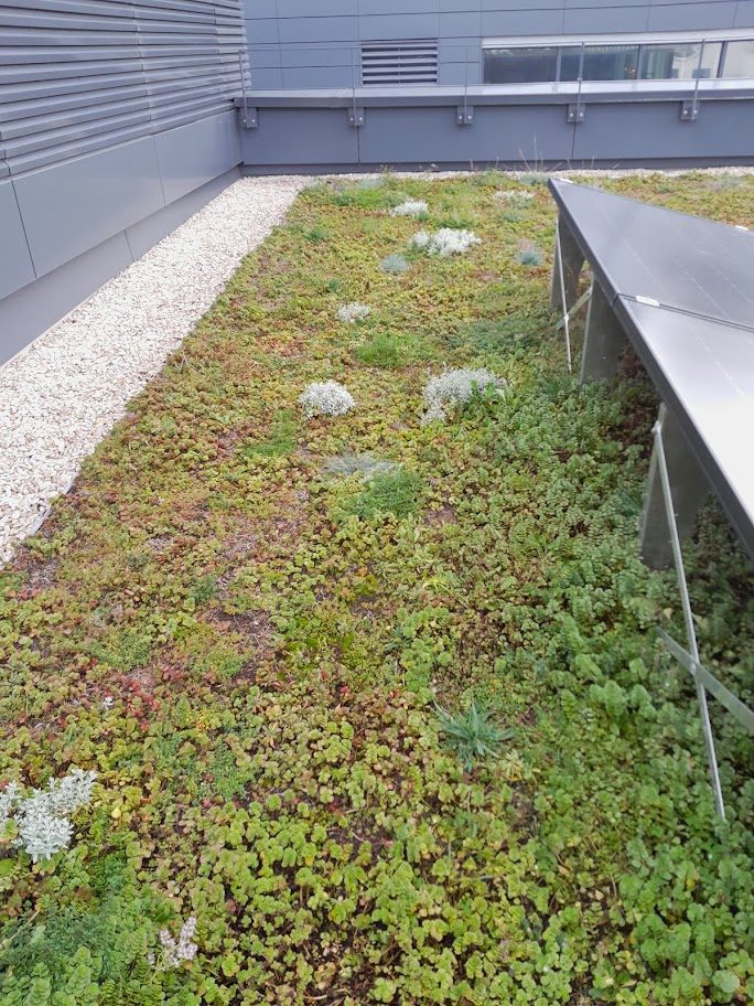 découvrez comment l'alliance d'une toiture verte et de panneaux solaires transforme votre maison en un espace écologique et durable. optez pour une solution innovante qui améliore l'efficacité énergétique tout en préservant l'environnement.