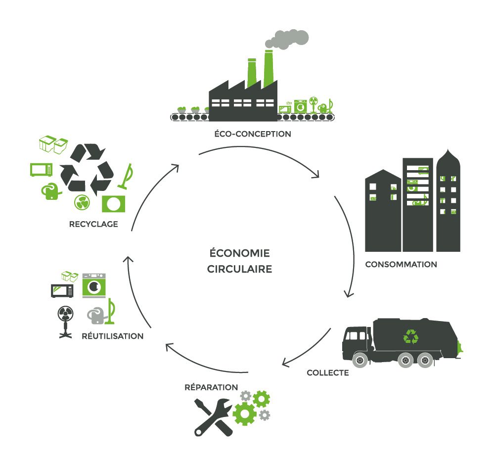 découvrez comment la transition vers une économie circulaire transforme nos modèles économiques et environnementaux. explorez les stratégies innovantes, les bénéfices durables et les exemples concrets d'entreprises engagées dans cette démarche responsable pour un avenir plus vert.