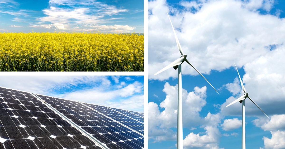 découvrez comment la transition vers les énergies renouvelables transforme notre avenir. explorez les technologies durables, les stratégies d'efficacité énergétique et l'impact positif sur l'environnement. engagez-vous pour un monde plus vert et durable.