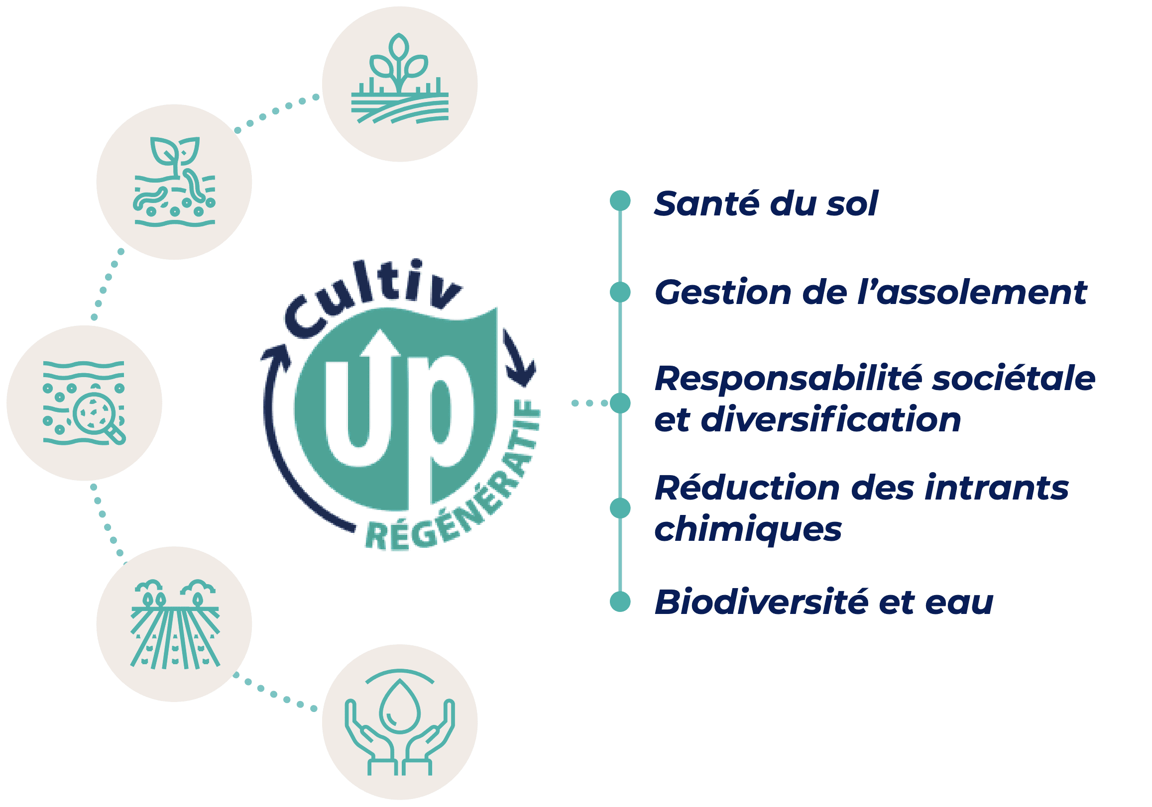 découvrez les valeurs essentielles de l'agriculture durable, axées sur la préservation de l'environnement, le bien-être social et la viabilité économique. apprenez comment ces principes peuvent transformer l'agriculture moderne et promouvoir un avenir plus responsable.