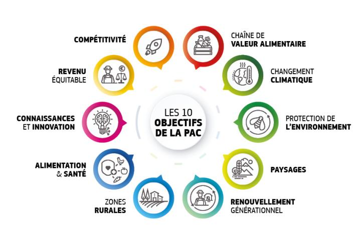 découvrez les valeurs de l'agriculture durable : un ensemble de pratiques respectueuses de l'environnement, favorisant la biodiversité, la qualité des sols et le bien-être des générations futures. engagez-vous pour une agriculture responsable et éthique.