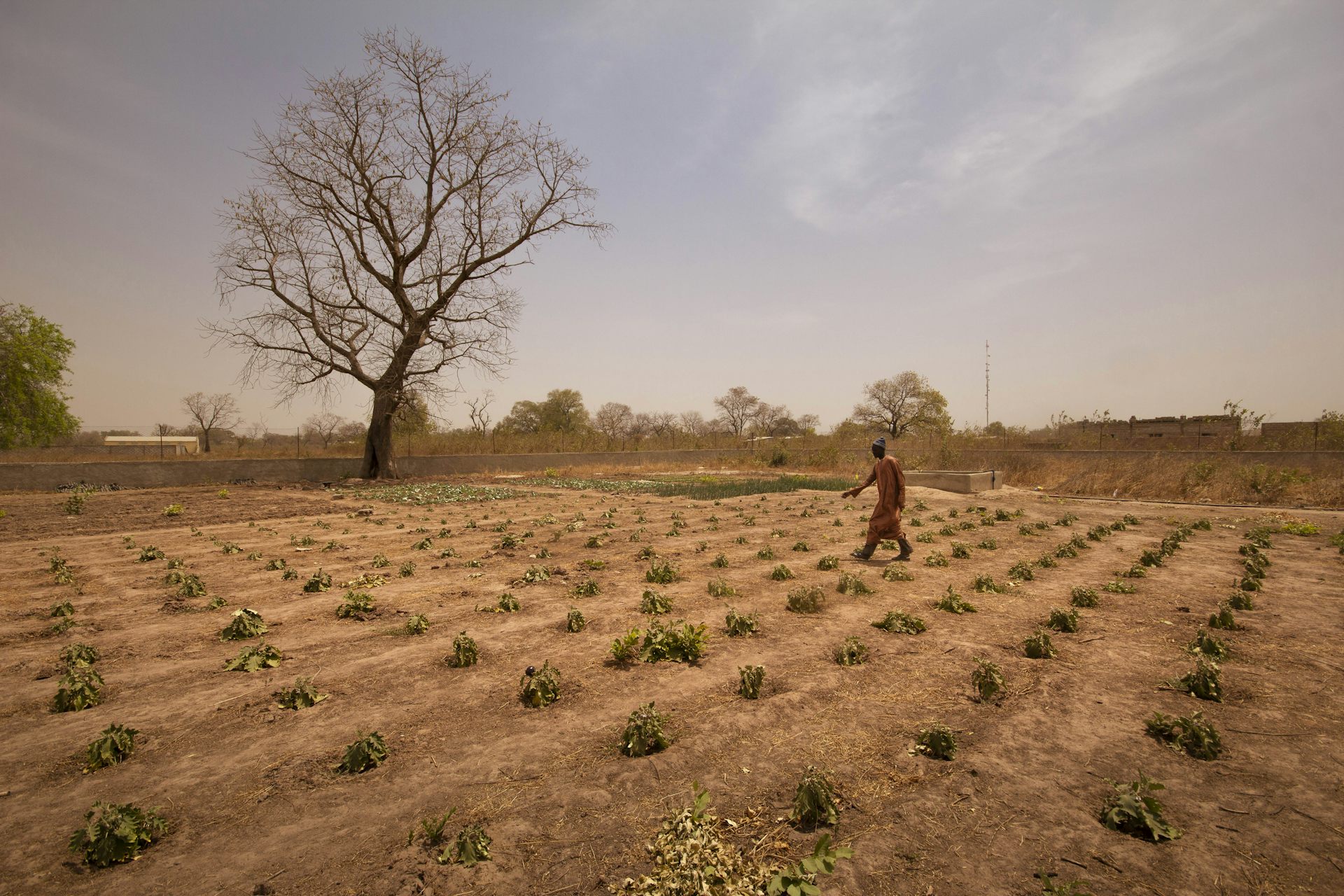 découvrez la vérité sur les surfaces agricoles en france : enjeux, chiffres clés et impacts environnementaux. informez-vous sur les tendances actuelles et les défis auxquels notre agriculture fait face.