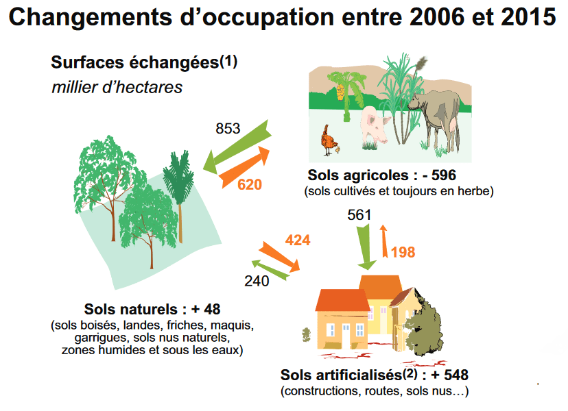 découvrez la réalité derrière les surfaces agricoles en france : enjeux, évolutions et impacts sur l'environnement et l'agriculture durable. informez-vous sur les données clés et les vérités cachées qui façonnent notre paysage agricole.