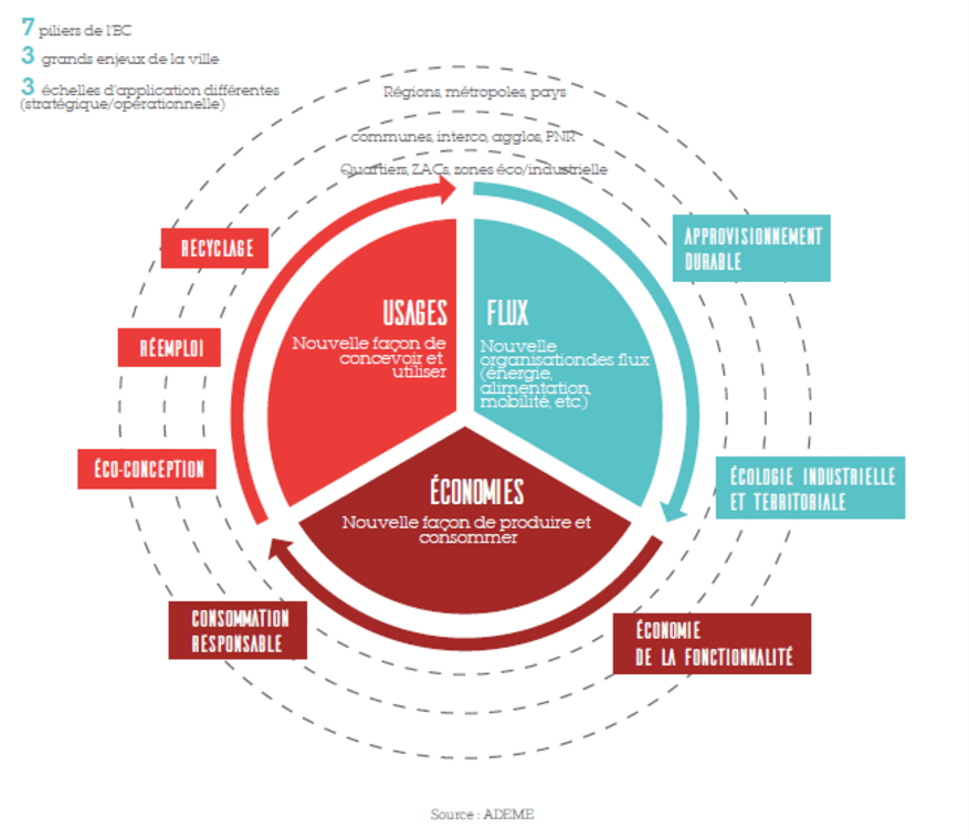 découvrez comment les villes adoptent l'économie circulaire pour favoriser le développement durable, réduire les déchets et optimiser l'utilisation des ressources. explorez des initiatives novatrices et des exemples inspirants qui transforment nos milieux urbains en environnements plus durables et résilients.