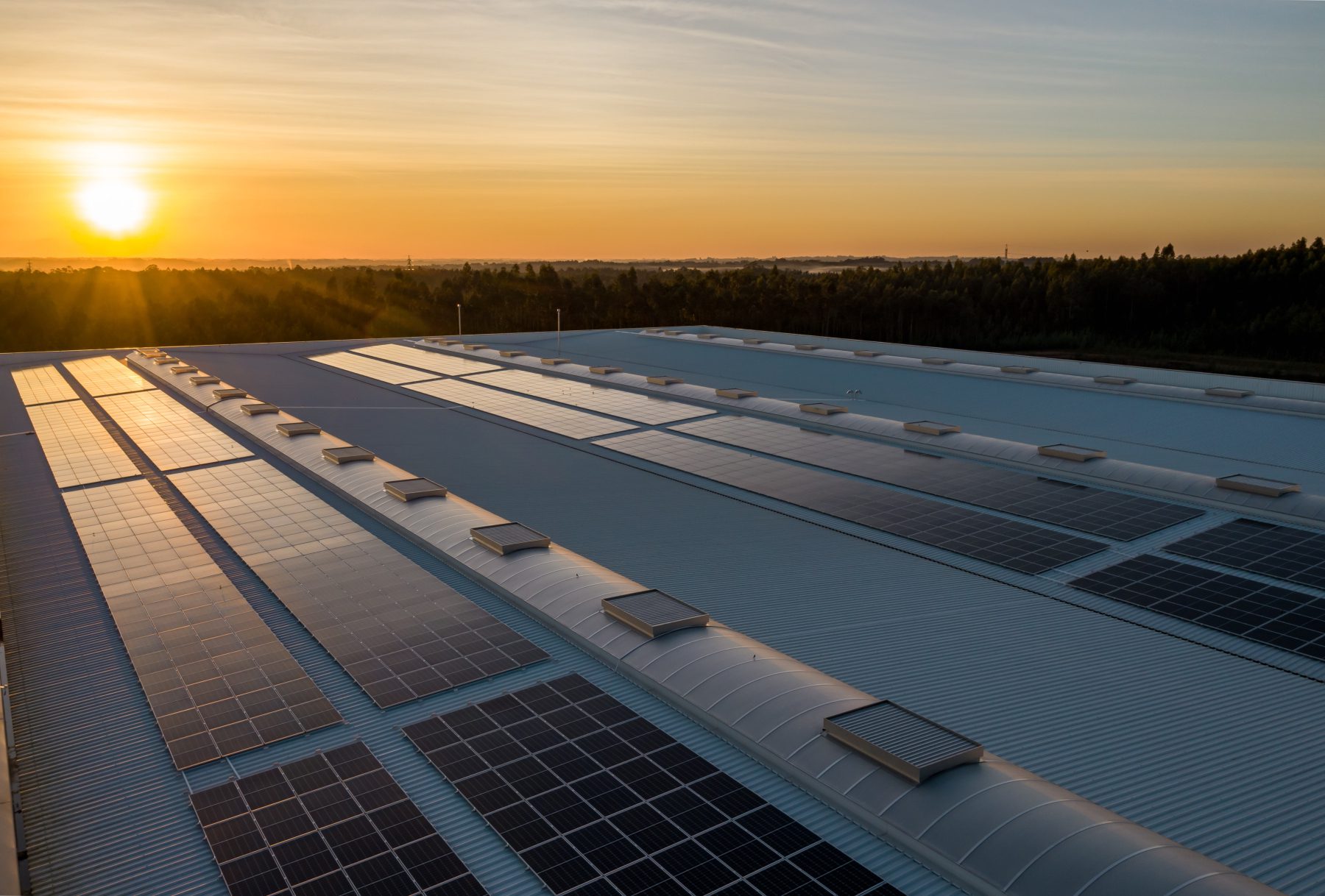 découvrez l'univers des énergies renouvelables lors de notre visite guidée d'un hangar photovoltaïque. apprenez comment les panneaux solaires transforment la lumière du soleil en énergie propre et durable. une expérience enrichissante pour comprendre les enjeux écologiques actuels.