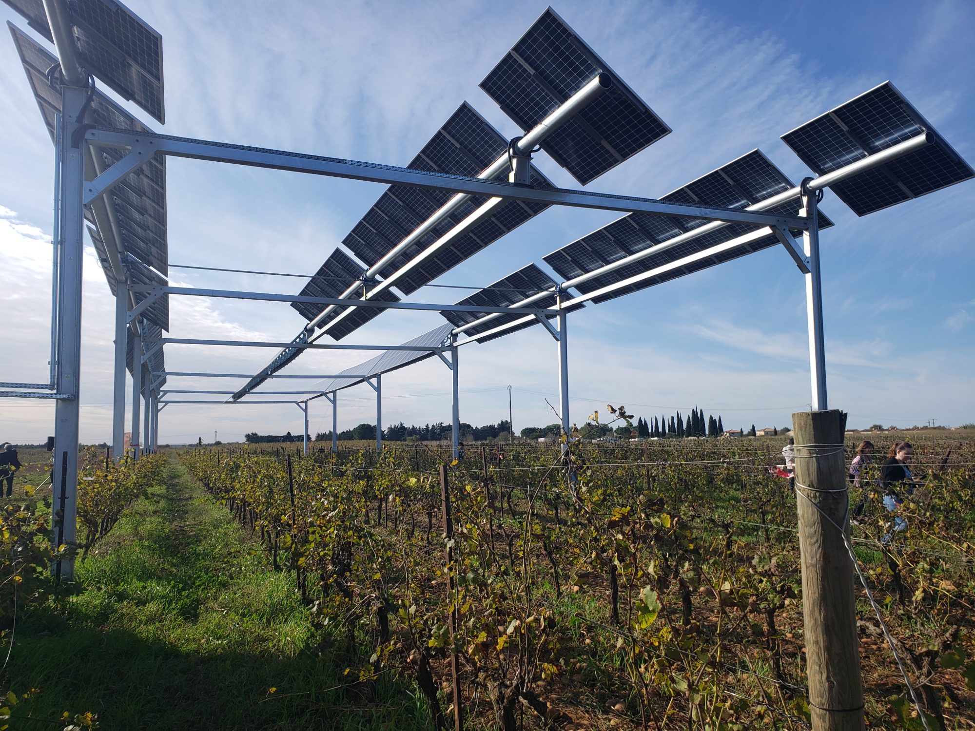 découvrez comment les agriculteurs adoptent les hangars photovoltaïques pour allier production agricole et énergie renouvelable. explorez les avantages économiques et environnementaux de cette solution innovante pour un avenir plus durable dans l'agriculture.